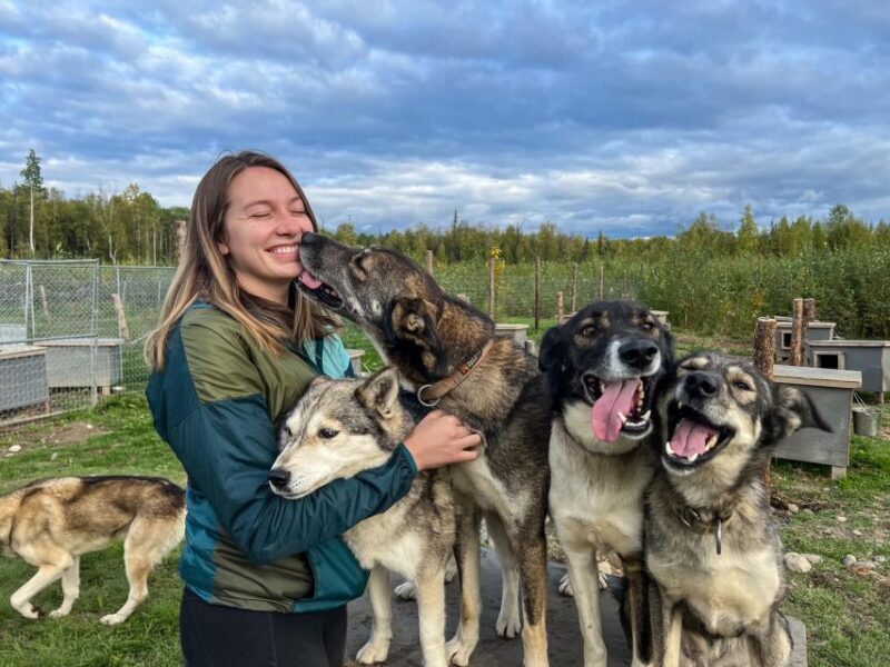 Summer Sled Dog Kennel Tour - An In-Depth Look at the Summer Sled Dog Kennel Tour