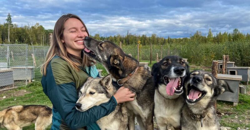 Summer Sled Dog Kennel Tour - A Detailed Look at the Summer Sled Dog Kennel Tour