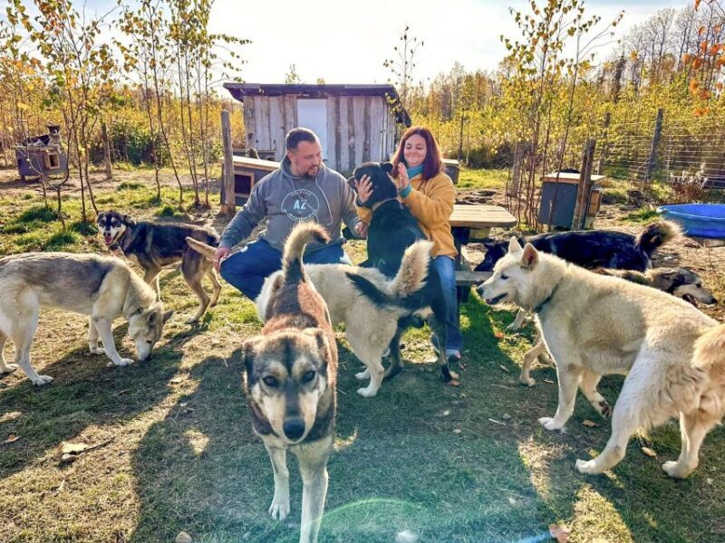 Summer Sled Dog Kennel Tour - Who Might Want to Think Twice