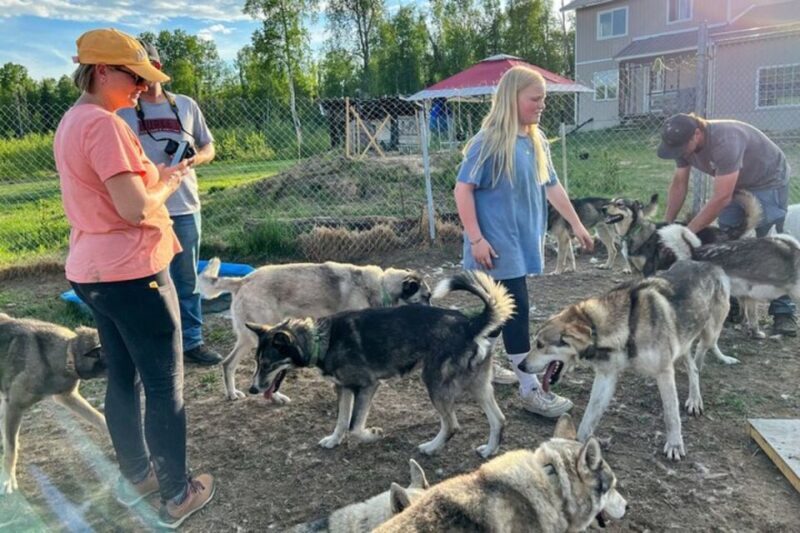 Summer Sled Dog Kennel Tour - Frequently Asked Questions (FAQs)