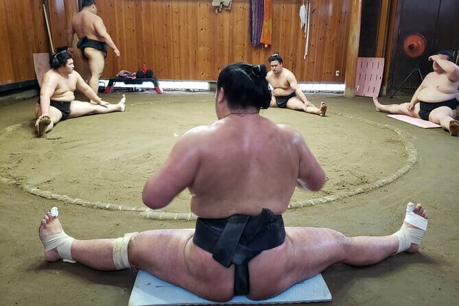Sumo Practice Viewing Guided Tour and Photo with Sumo Wrestlers - Exploring Sumo Practice Viewing Guided Tour and Photo with Sumo Wrestlers