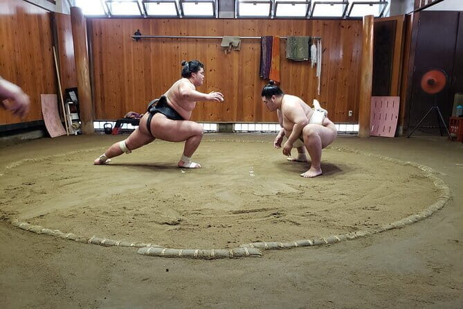 Sumo Practice Viewing Guided Tour and Photo with Sumo Wrestlers - Key Points