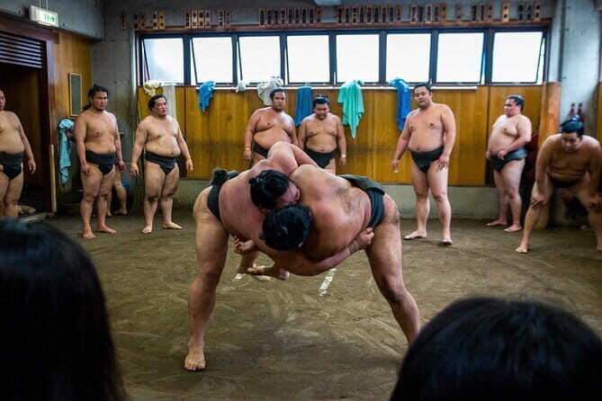 Sumo Practice Watching and Japans Beautiful Culture and History - Practical Details: What You Need to Know
