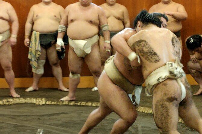 Sumo Training Watching Experience in Tokyo - Sumo Training Watching Experience in Tokyo: An Authentic Glimpse into Japan’s Sacred Sport