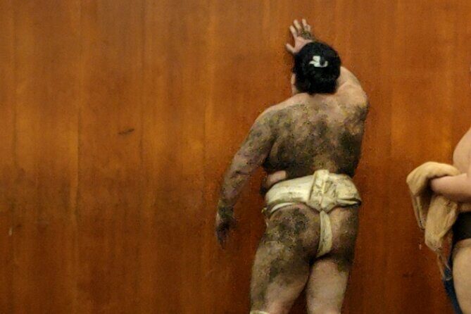 Sumo Training Watching Experience in Tokyo - Key Points