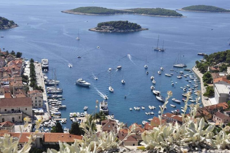 Sun-Kissed Hvar: A Private Walking Guided Tour - Key Points