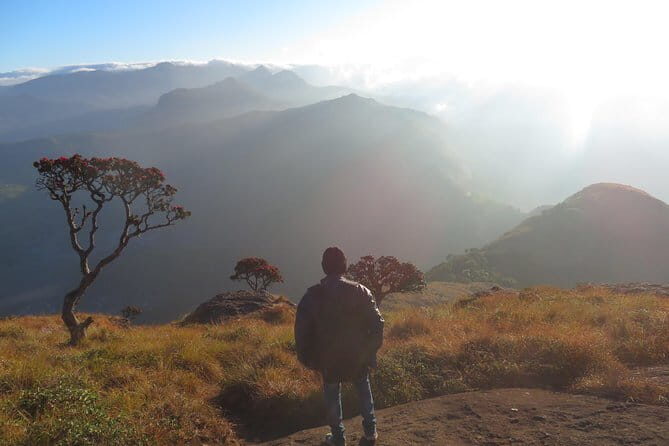 Sun-rise Trek (chokramudi) - Frequently Asked Questions