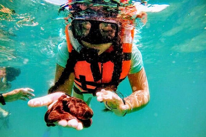 Sun, Sea & Streets: Beach Day + Snorkel Adventure & City Tour - Practical Details to Keep in Mind