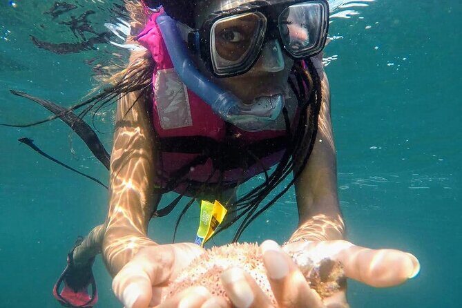 Sun, Sea & Streets: Beach Day + Snorkel Adventure & City Tour - The Sum Up