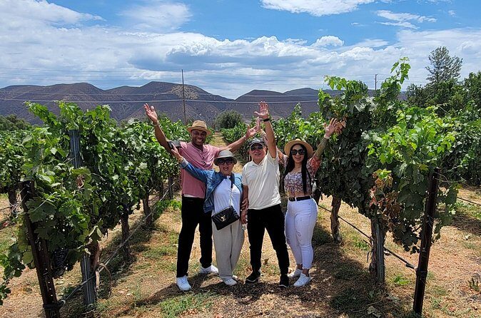 Sunday Special Wine Tour in Temecula Valley with Lunch - The Sum Up
