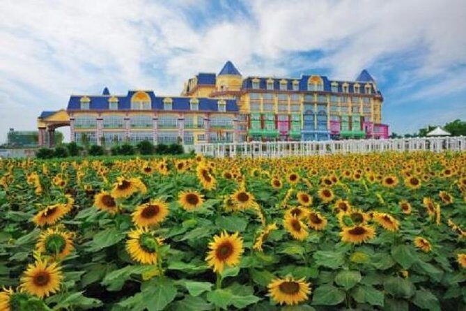 Sunflower Garden and Wild Bird Wetland Park Private Tour - Practicalities and What Travelers Should Know
