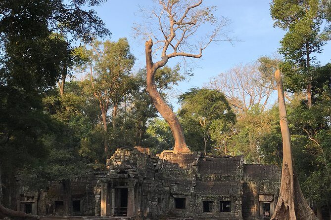 Sunrise Angkor Wat Private Tour - An In-Depth Look at the Tour Experience