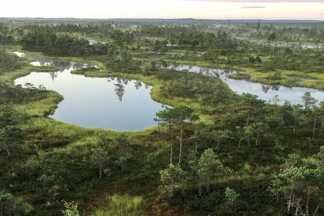 Sunrise at Kemeri National Park - Who Is This Tour Best For?