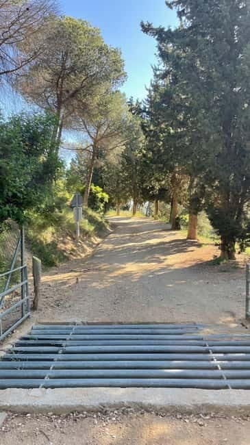 Sunrise at Tibidabo + local breakfast with views - Who Should Consider This Experience?