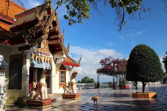 Sunrise Blessing Experience at Doi Suthep with Small Group - Who Should Consider This Tour?