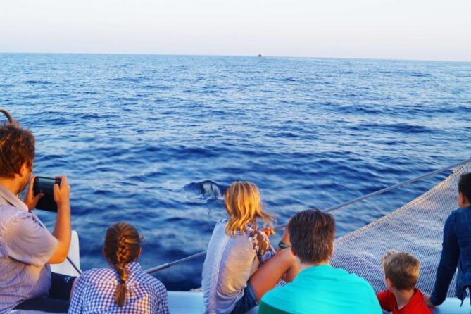 Sunrise Boat Trip in Mallorca with Dolphin-Watching - The Experience in Detail