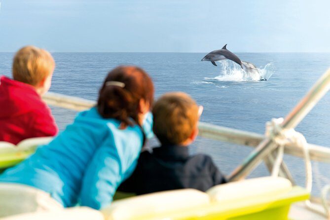 Sunrise Boat Trip in Mallorca with Dolphin-Watching - The Sum Up