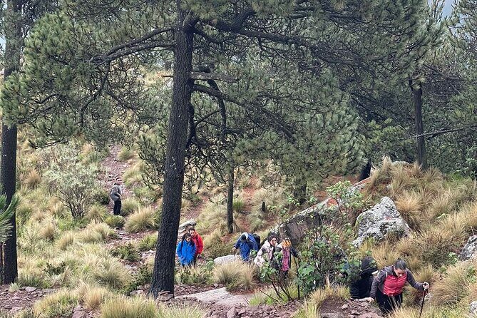 Sunrise in Las Alturas Hiking in El Pico del Aguila Tlalpan - FAQ