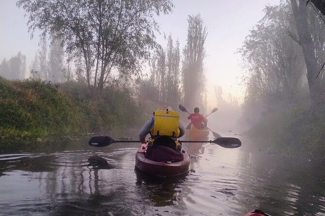 Sunrise Kayak Tour in Xochimilco - The Itinerary: What to Expect