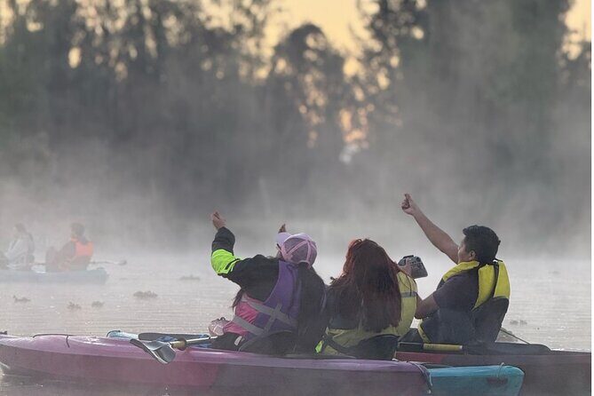 Sunrise Kayak Tour in Xochimilco - What Could Be Better?