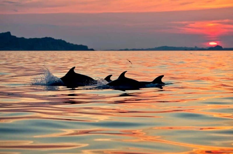 Sunrise Kayak Tour with Snorkeling and Coffee Experience - Key Points