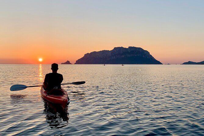 Sunrise Kayak Tour with Snorkeling and Coffee Experience - Who Will Love This Tour?