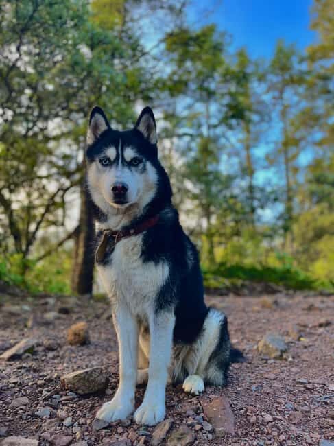 Sunrise on the heights: Pico del Águila. Mexico City. - What’s Included & What to Bring