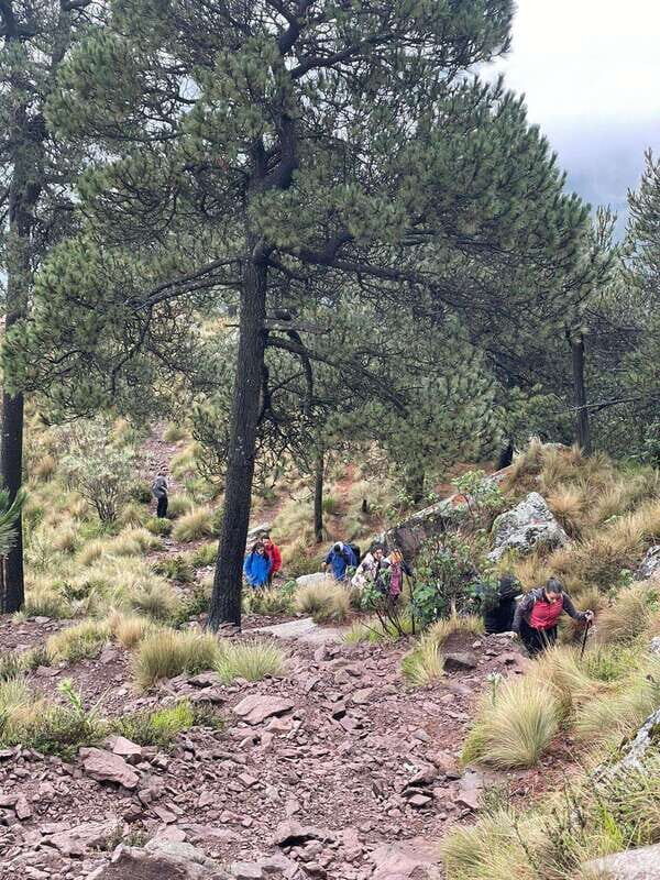 Sunrise on the heights: Pico del Águila. Mexico City. - Final Thoughts