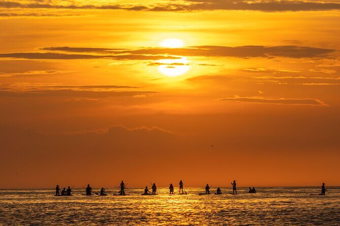 Sunrise Paddle Surf with Instructor and Photos Included - An In-Depth Look at the Sunrise Paddle Surf Tour