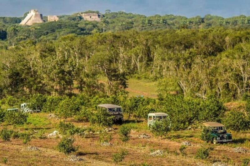Sunrise Private Tour Uxmal Land Rover with Mayan Breakfast - Returning to Mérida and Reflecting on the Day
