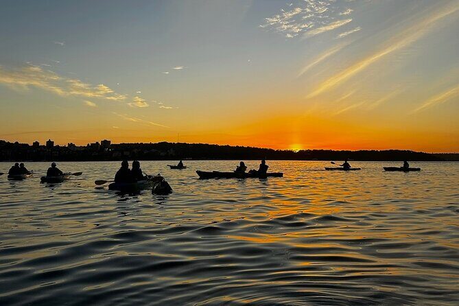 Sunrise Serenity Kayak Tour of Sydney Harbour - Frequently Asked Questions