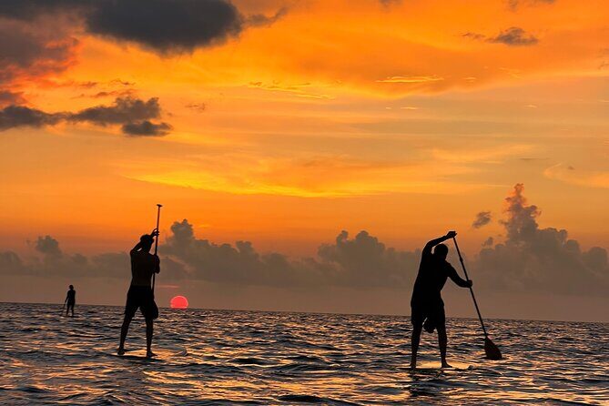 Sunrise Stand Up Paddle activity on a privileged beach. - A Sunrise Paddle in Cancun: An Authentic Experience on a Privileged Beach