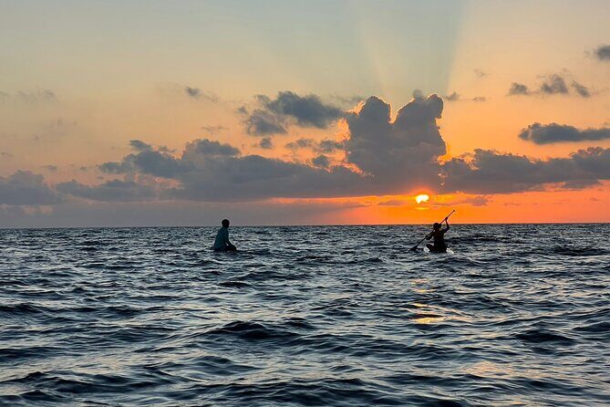 Sunrise Stand Up Paddle activity on a privileged beach. - Key Points
