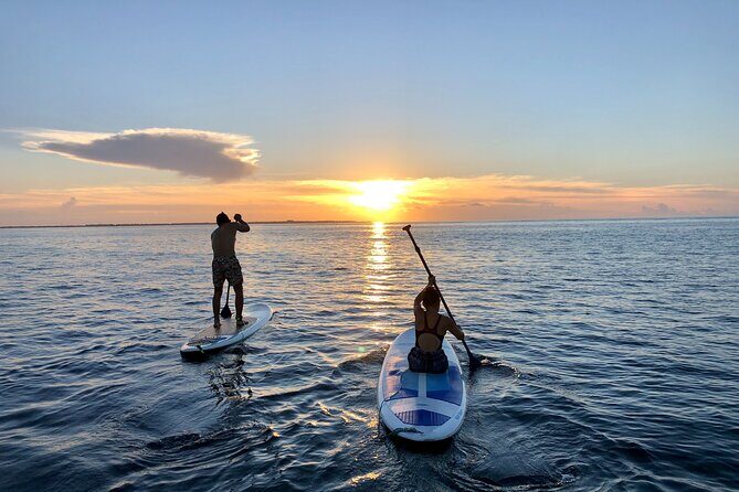 Sunrise Stand Up Paddle activity on a privileged beach. - Who Will Appreciate This Tour?