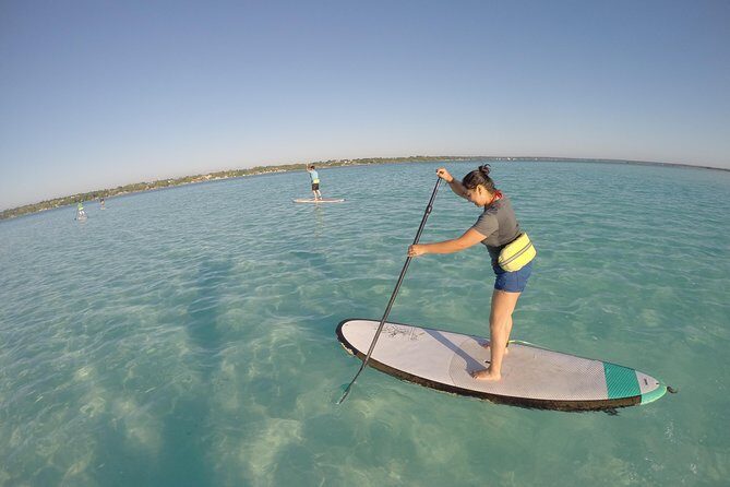 Sunrise Tour (Stand Up Paddle or Kayak) - What to Expect from the Sunrise Paddle Tour