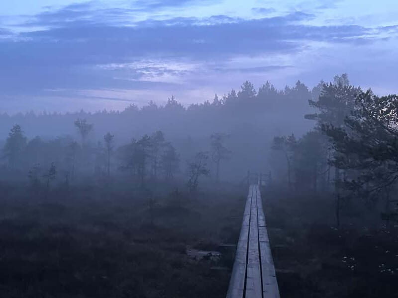 Sunrise Tour To Great Kemeri Bog - Key Points