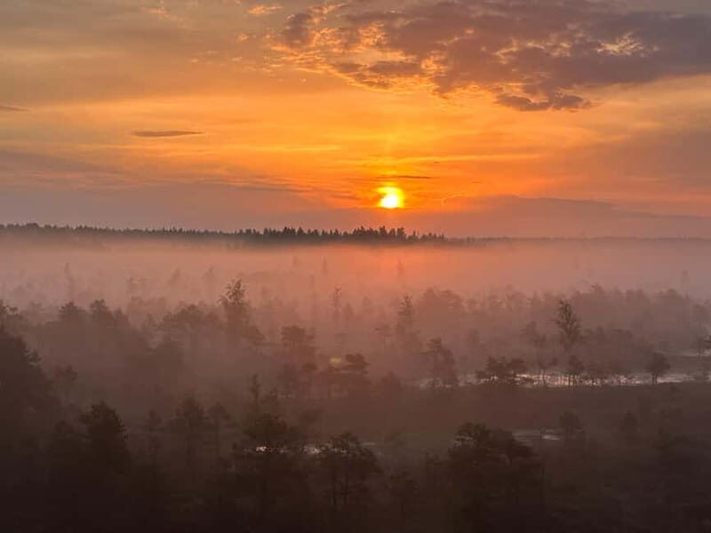 Sunrise Tour To Great Kemeri Bog - Is This Tour Worth the Price?