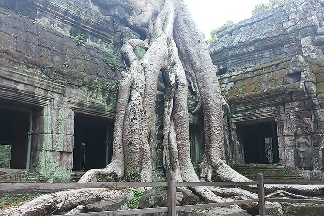 Sunrise VIP Angkor Tour with Jeep M151 A2 - Final Thoughts on the Experience