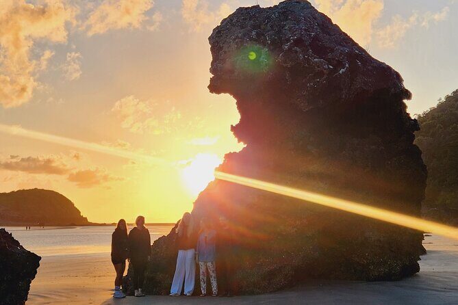 Sunrise with the kangaroos and wallabies - Key Points