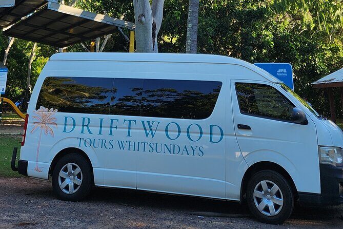 Sunrise with the kangaroos and wallabies - Authentic Reviews and Experiences