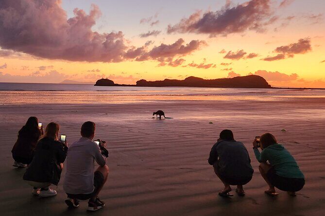 Sunrise with the kangaroos and wallabies - Who Should Consider This Tour?