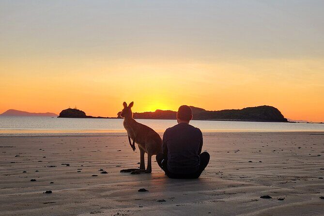 Sunrise with the kangaroos and wallabies - The Sum Up: Is It Worth It?