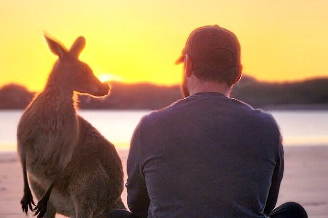 Sunrise with the kangaroos and wallabies - Witnessing the Sunrise & Wildlife