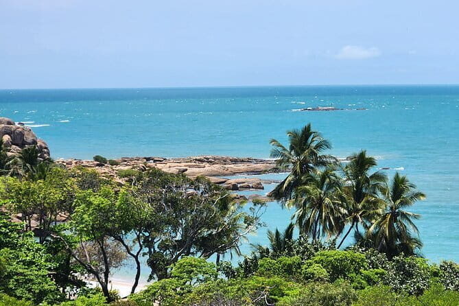 Sunrise with the kangaroos and wallabies - Return to Airlie Beach & Scenic Drive