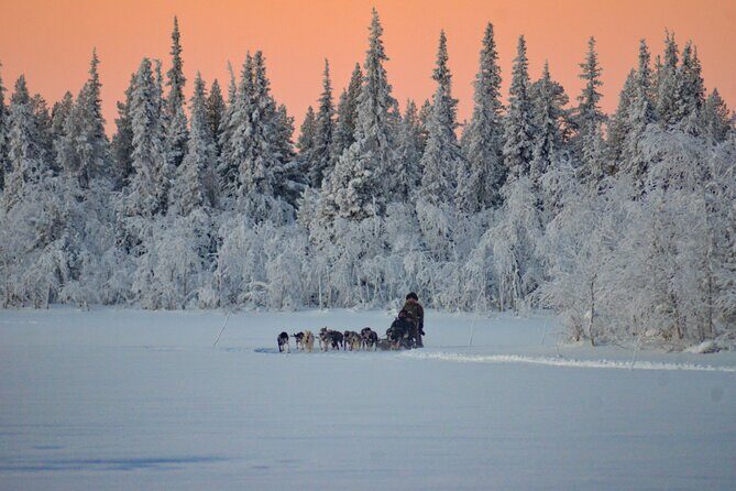 Sunrise Zen Husky Tour (10:00 to 13:00 - sitting on the sled) - FAQ