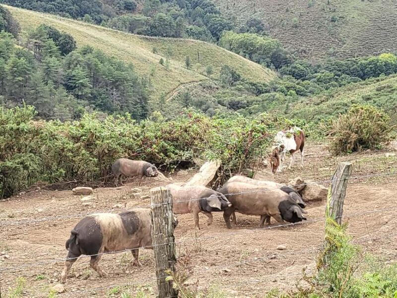 Sunset - Who Will Love This Tour?