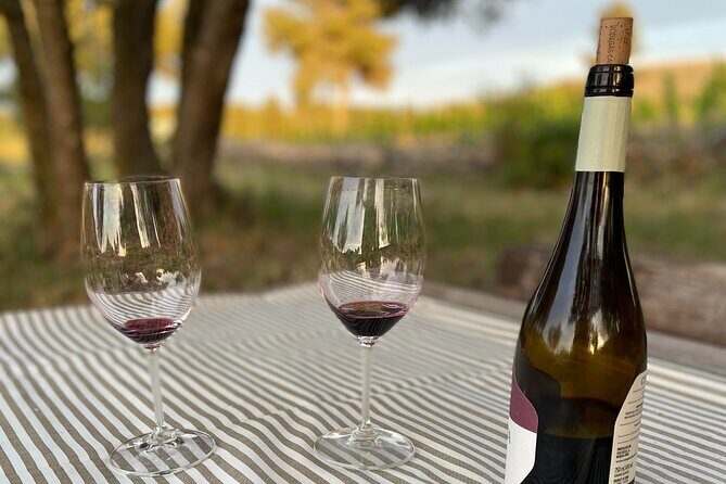 Sunset among Vineyards with Tasting in Alicante (min 6-12 people) - FAQ