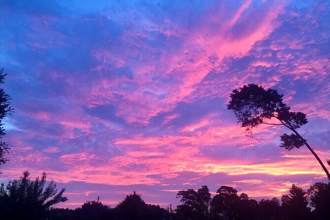 Sunset and Fireworks River Paddle Cruise - Authenticity and Traveler Experience