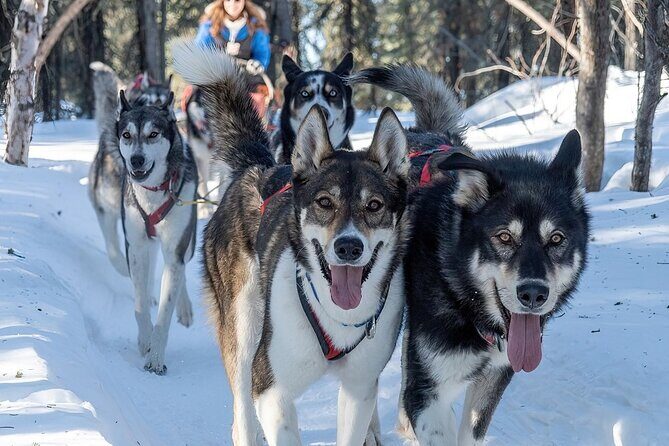 Sunset and Full Moon or Extended Ridge Top Mush - Who Should Consider This Tour?