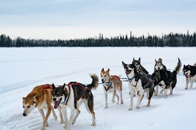 Sunset and Full Moon or Extended Ridge Top Mush - Final Thoughts